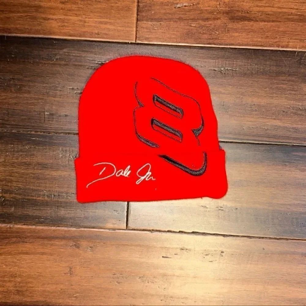 Dale Earnhardt Jr. Skully